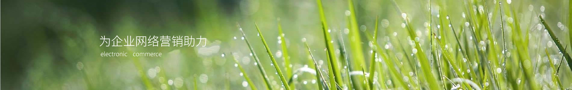 ϾСִƼ޹˾